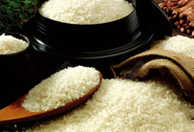 广东增城市粮食局新塘粮食管...平时吃的粳米和大米，这两种有什么区别吗？